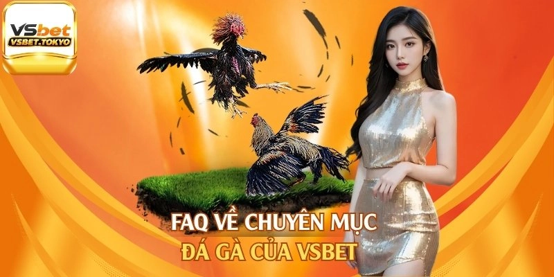 FAQ về chuyên mục đá gà của Vsbet