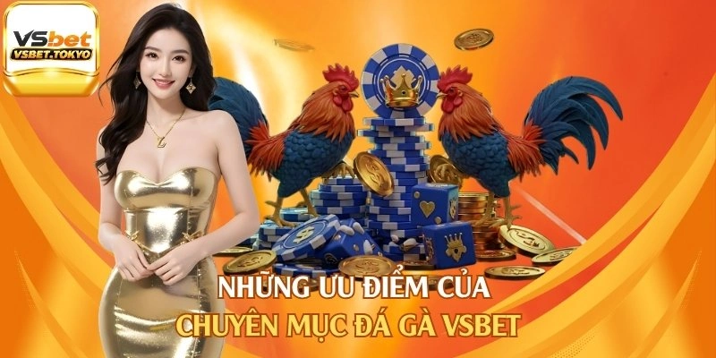 Những ưu điểm của chuyên mục đá gà Vsbet