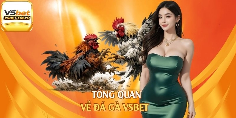 Tổng quan về đá gà Vsbet
